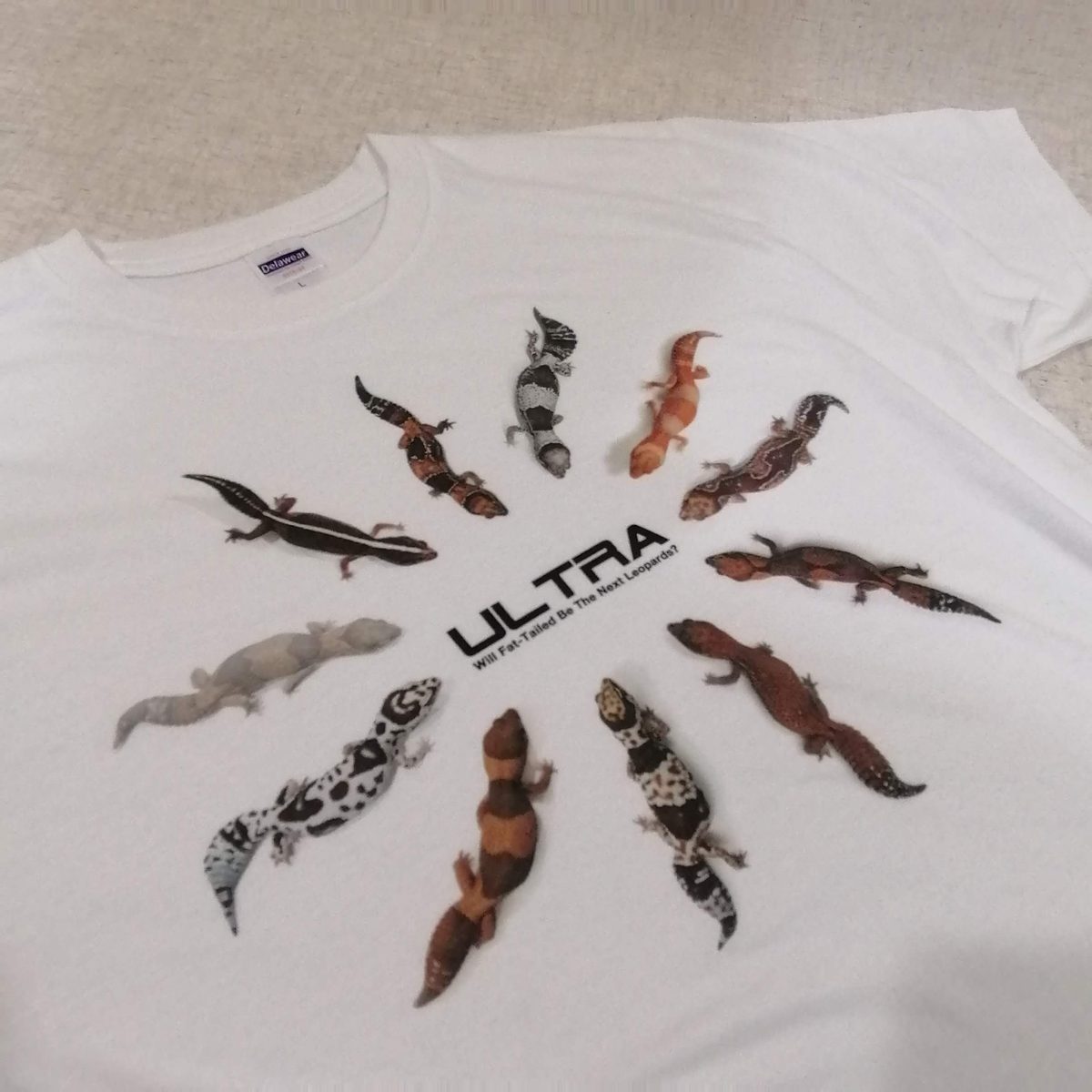 フルカラーTシャツ（染めるプリント）
